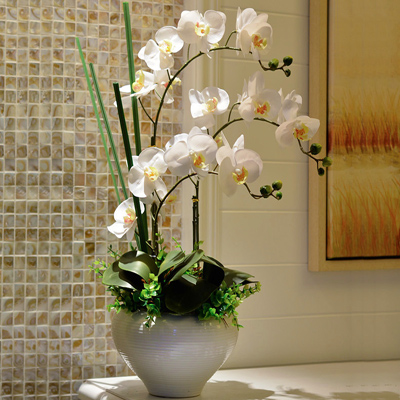Orkideler Beyaz Seramik 